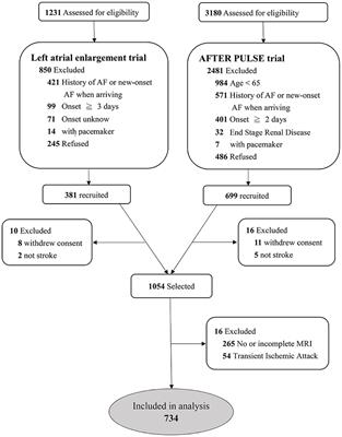 Identification of magnetic resonance imaging features for the prediction of unrecognized atrial fibrillation in acute ischemic stroke